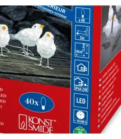 5 Oiseaux Lumineux A Led