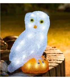 Chouette Lumineuse Led En Acrylique, 27 Cm