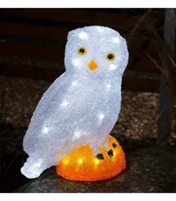 Chouette Lumineuse Led En Acrylique, 27 Cm