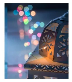 Guirlande Lumineuse Avec Changement De Couleur, 50 Diodes Led