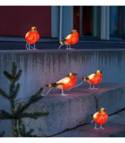 Oiseaux Lumineux Led, 5 Rouge-Gorge