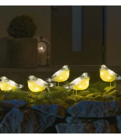 Oiseaux Lumineux Led En Acrylique, 5 Chardonnerets